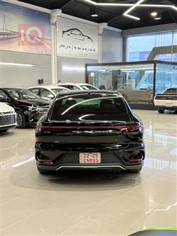 بي واي دي هان